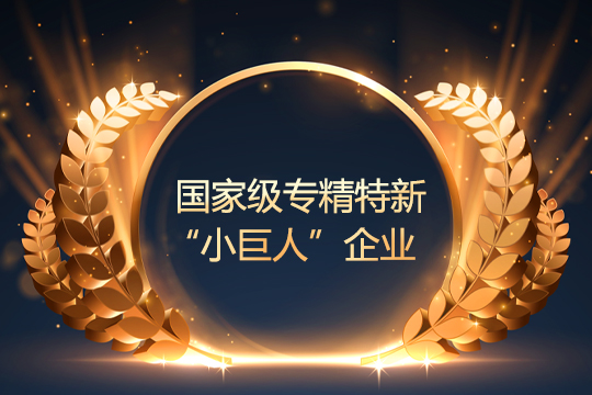 喜报 | 多宝电竞通过国家级专精特新“小巨人”企业复审 